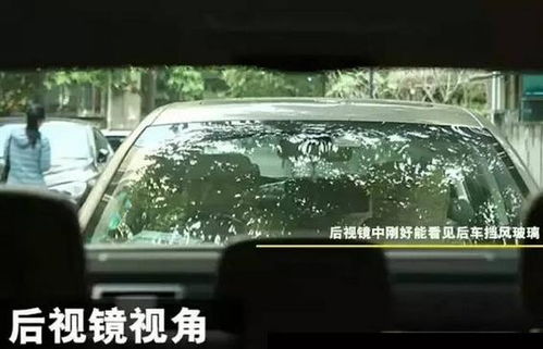 汽车后面距离多少合适