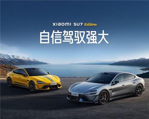 小米汽车预订了多少