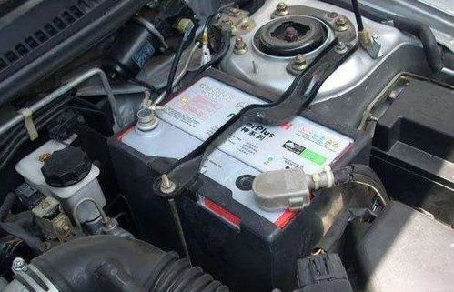 汽车电瓶多少型号正常