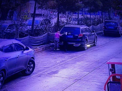 宣威有多少辆汽车