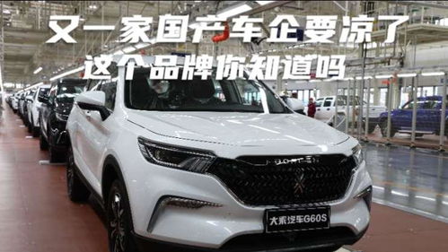 国产汽车多少家