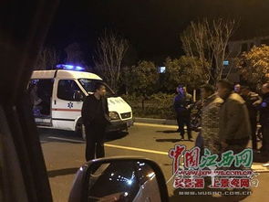 汽车相撞被罚款多少