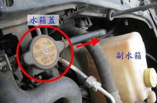 如何看汽车水箱多少