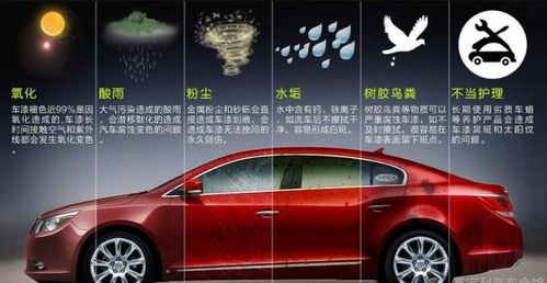 阳江汽车打蜡优惠多少