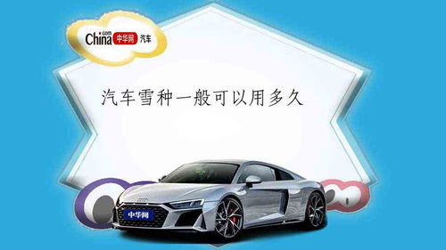 汽车加雪种多少 钱