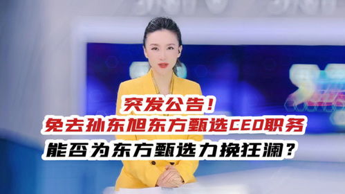 孙东旭还是离开了东方甄选