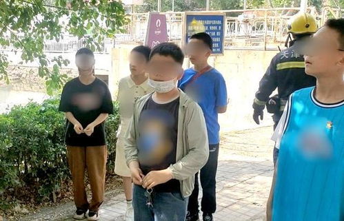 孩子点燃杨柳絮 家长赔偿11万