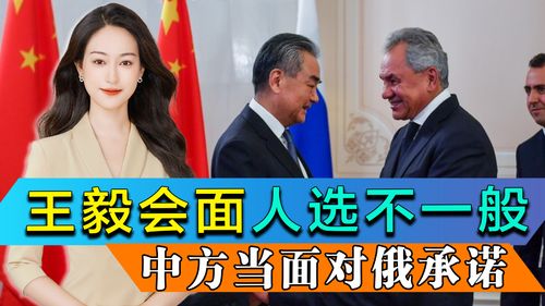 王毅会见绍伊古