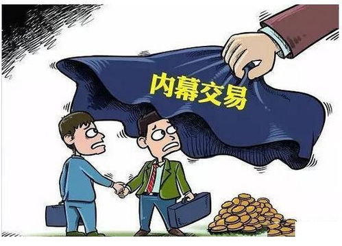 股市亏的钱，究竟流向了谁？