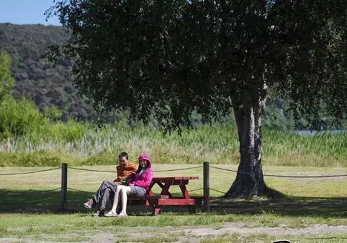 东北姑娘山西之旅，一场从午睡到下午5点的悠闲时光