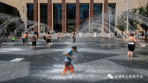 欧洲热浪，揭示环境挑战与社会适应的双重问题