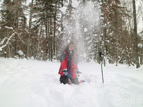 东北超有多好玩，一场说走就走的冰雪奇缘之旅