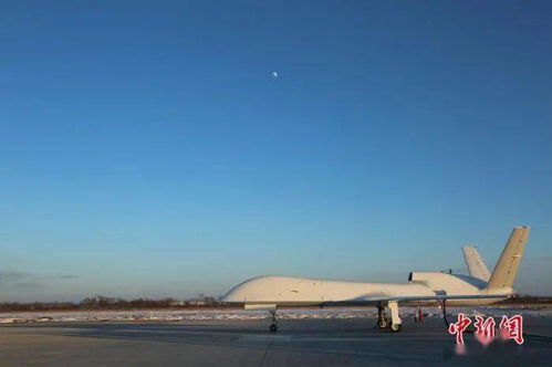 小马被游客无人机惊扰狂奔致肺炸死亡，警示无人机使用需谨慎