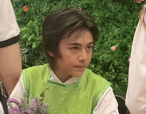 刘烨16岁儿子诺一颜值飙升，星二代风采初显！