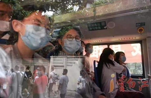 河南考生高考独揽703分，揭秘学霸背后的努力与智慧