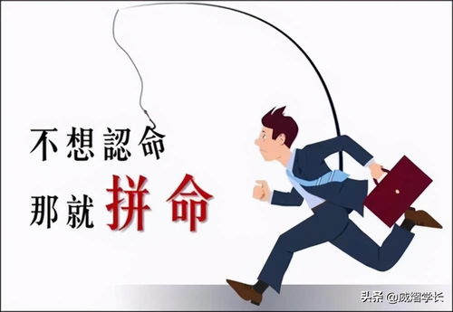 女子散装英语闯非洲，勇敢创业，书写异国他乡的奋斗传奇